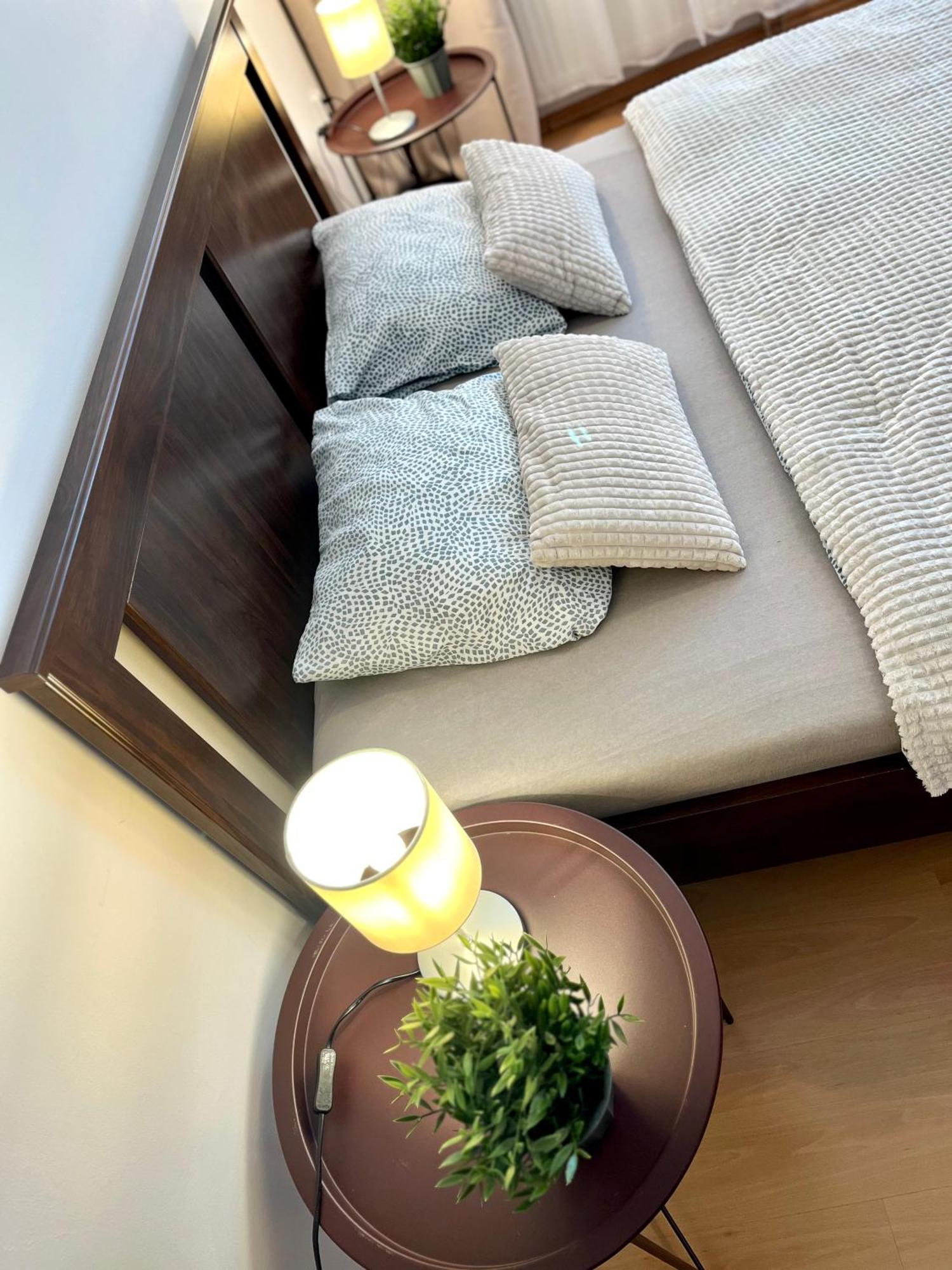 Apartment Tina - Old Town, Ac, Free Private Parking Bratislava Eksteriør billede