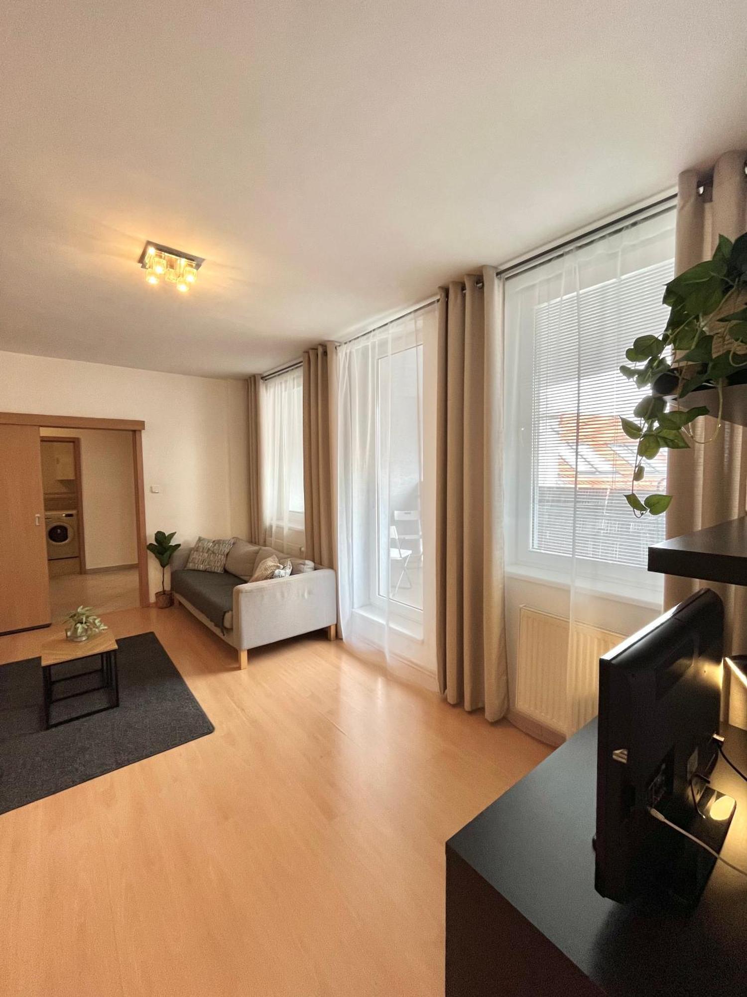 Apartment Tina - Old Town, Ac, Free Private Parking Bratislava Eksteriør billede